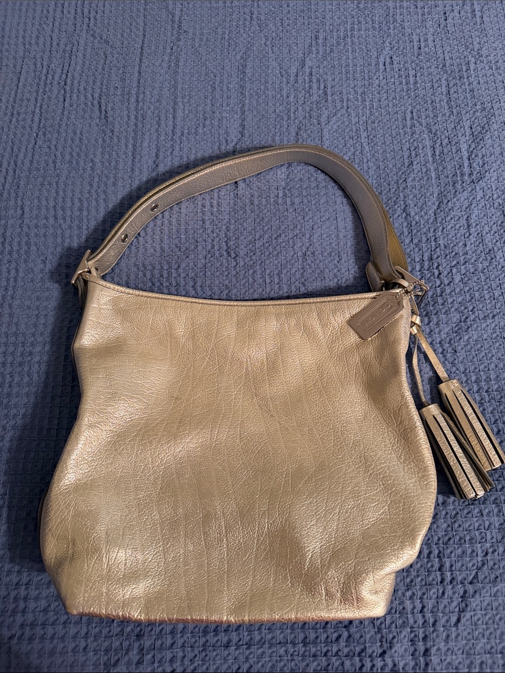 Coach Metallic Silver Leather Hobo Shoulder Bag